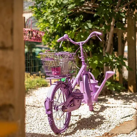 Casa Parenzana * 포레치